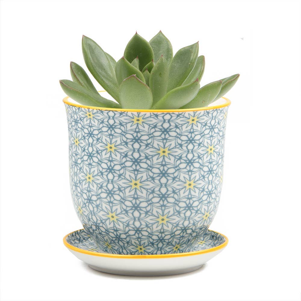 Chive UK – Großhandel Blumentopf – Liberte 3 - Keramik-Blumentopf mit Untersetzer und Abflussloch15