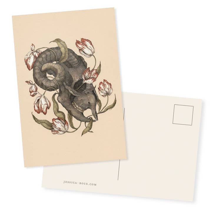 4” x 6” Sheep Skull Postcard for wholesale by Jessica Roux Illustration