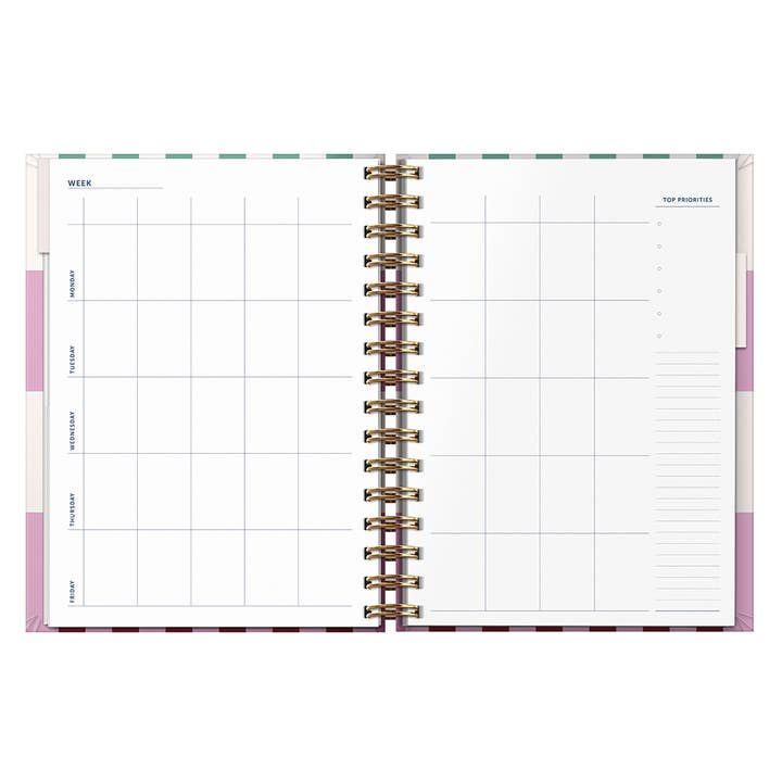Busy B - Wholesale Planner - A4 Undated Teacher Planner - Multi Stripe - Academic Planner10