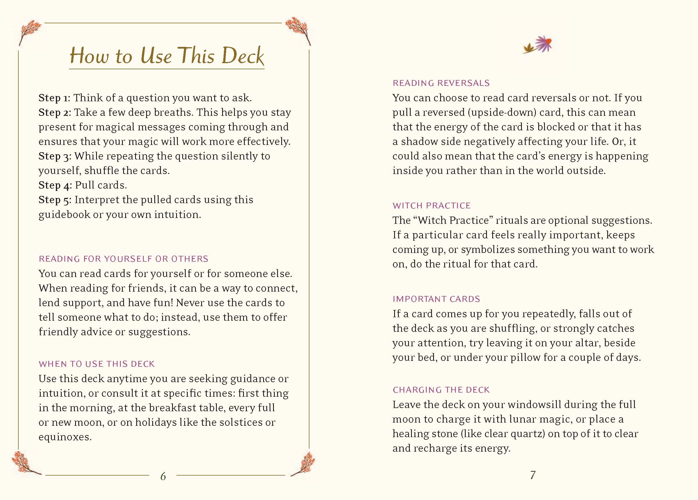 Chronicle Books - Wholesale Tarot Cards - Little Witch's Oracle Deck12