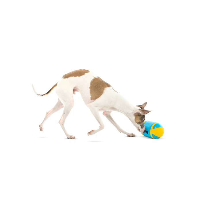 Pet Palette Distribution - Wholesale Pet Toy - Dog - GURU Pet Company Rock 'N Treat Interactive Dog Toy Medium