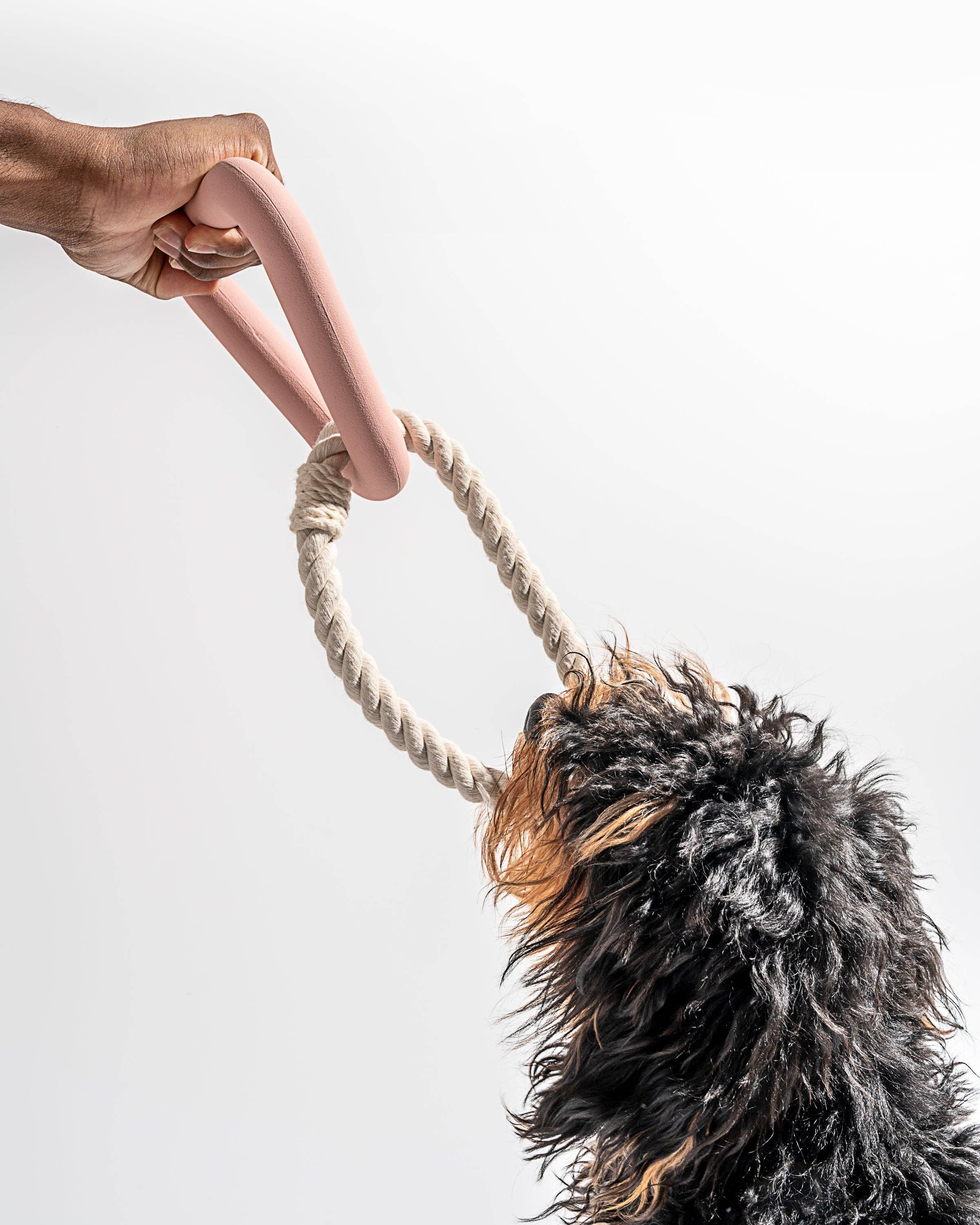 Wild One - Wholesale Pet Chew Toy - Dog - Triangle Tug19