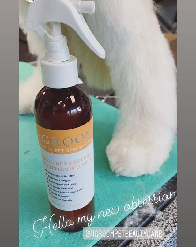 iGroom - Wholesale Pet Spray - Dog - Magic Detangler Conditioning Spray 8oz3