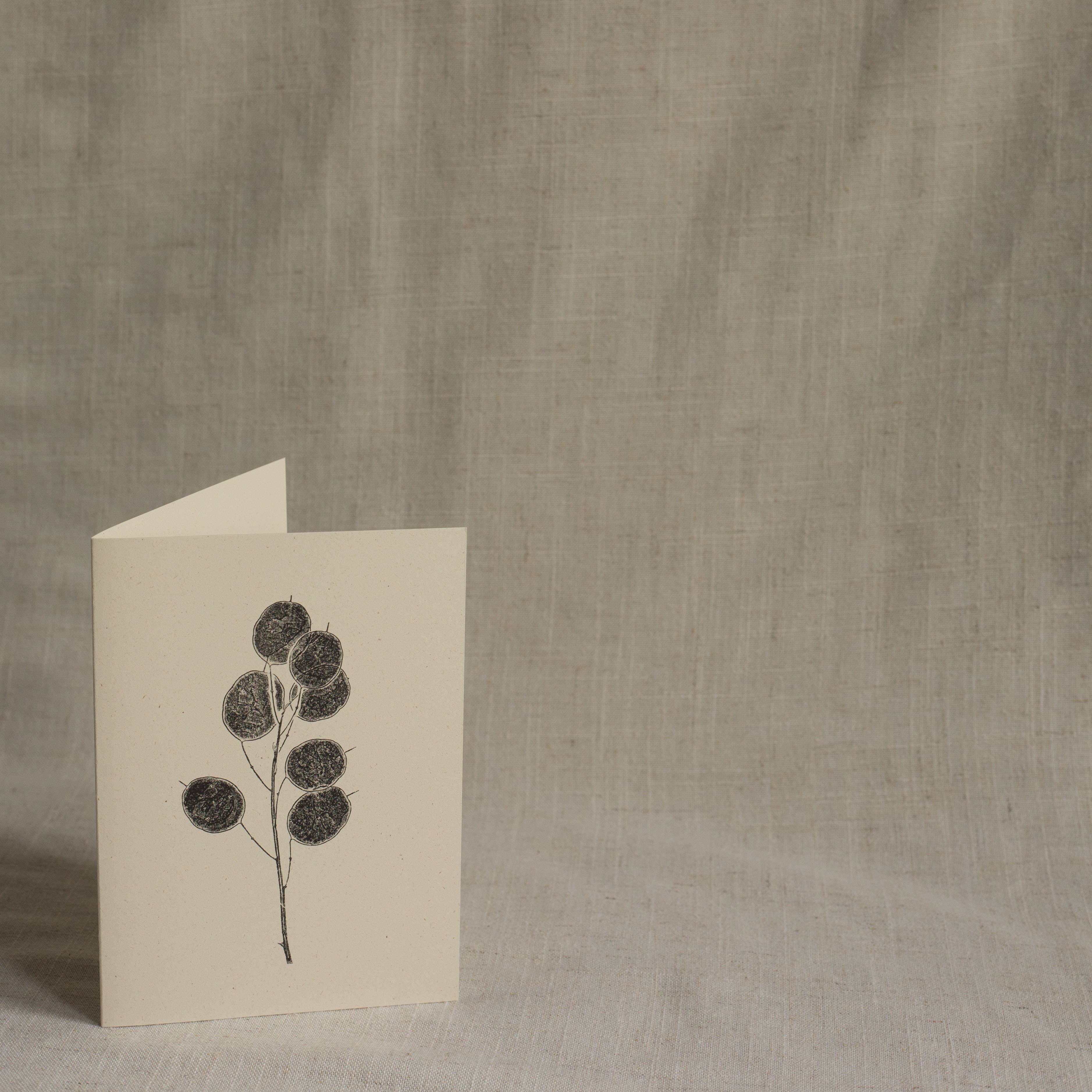 Alicia Breakspear - Wholesale Everyday Greeting Card - Honesty Pods Floral Greeting Card A6 Recycled Card 2