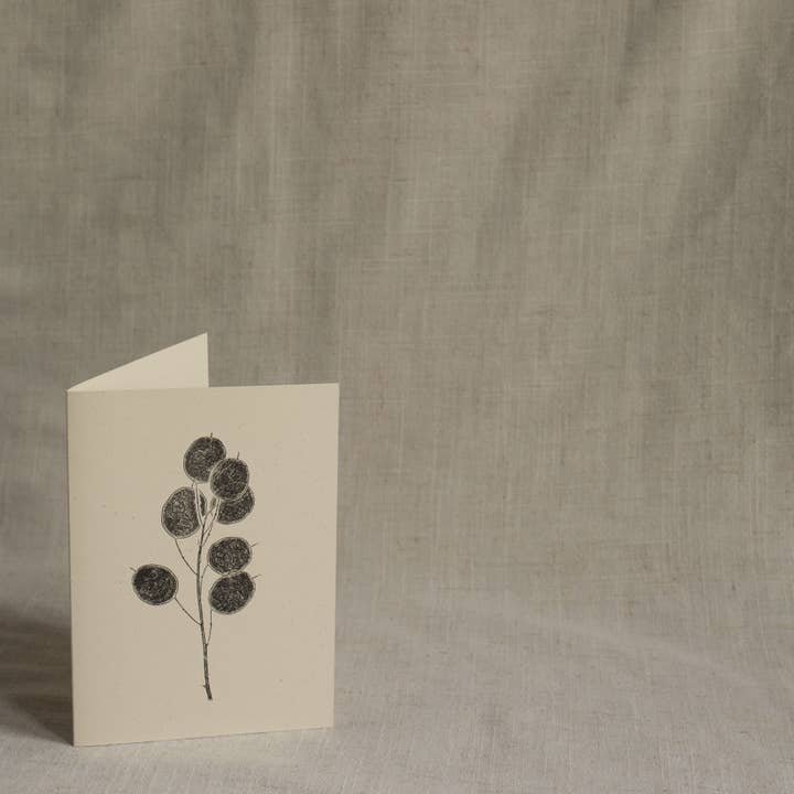 Alicia Breakspear - Wholesale Everyday Greeting Card - Honesty Pods Floral Greeting Card A6 Recycled Card 2