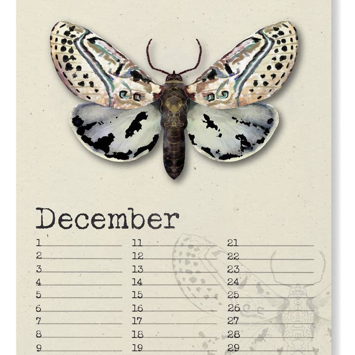 Studio Angelart - Wholesale Calendar - Birthday Calendar Night Butterflies2