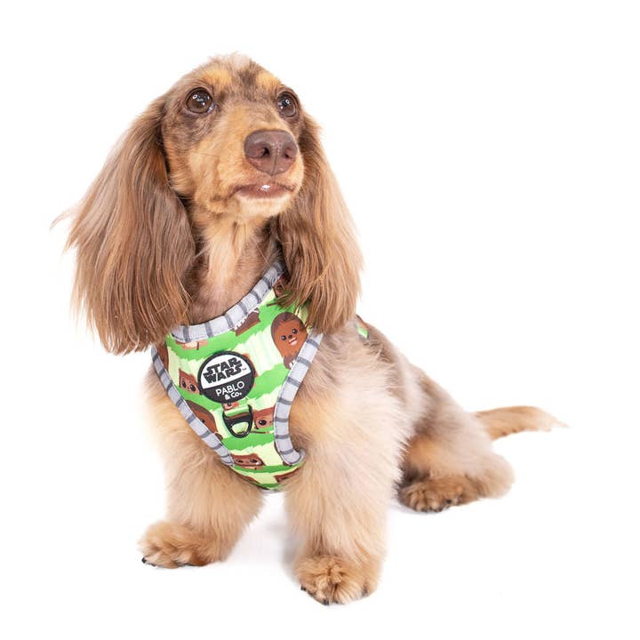 Chewbacca & Ewoks: Adjustable Harness for wholesale by Pablo & Co. Boutique