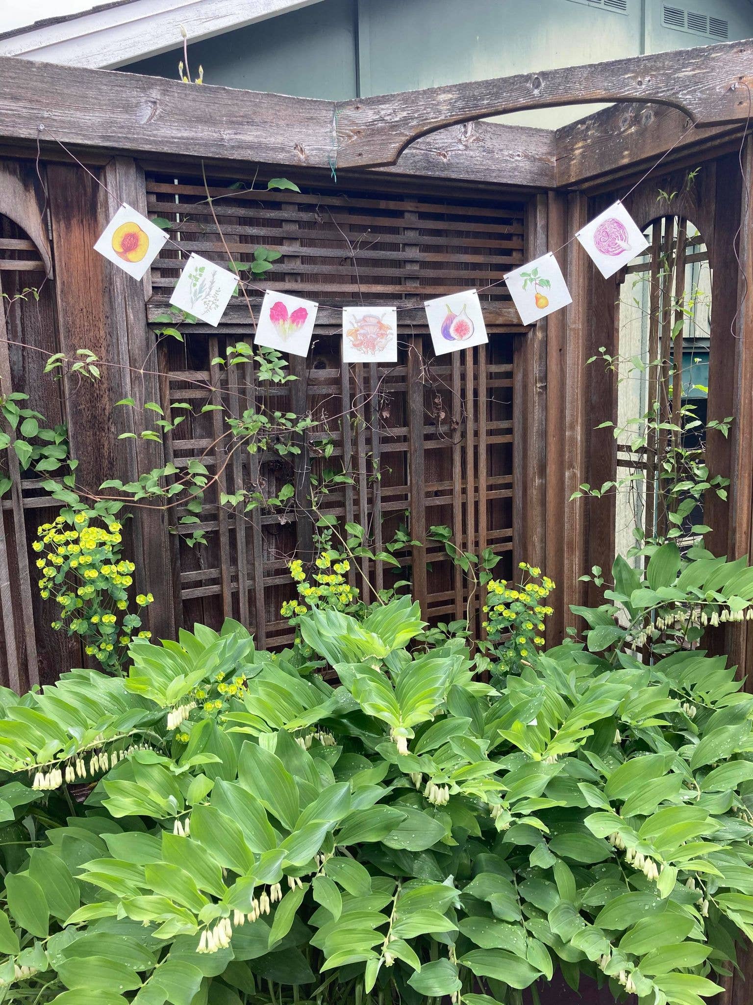 Plant Posse – wholesale Banner – Produce Prayer Flag18