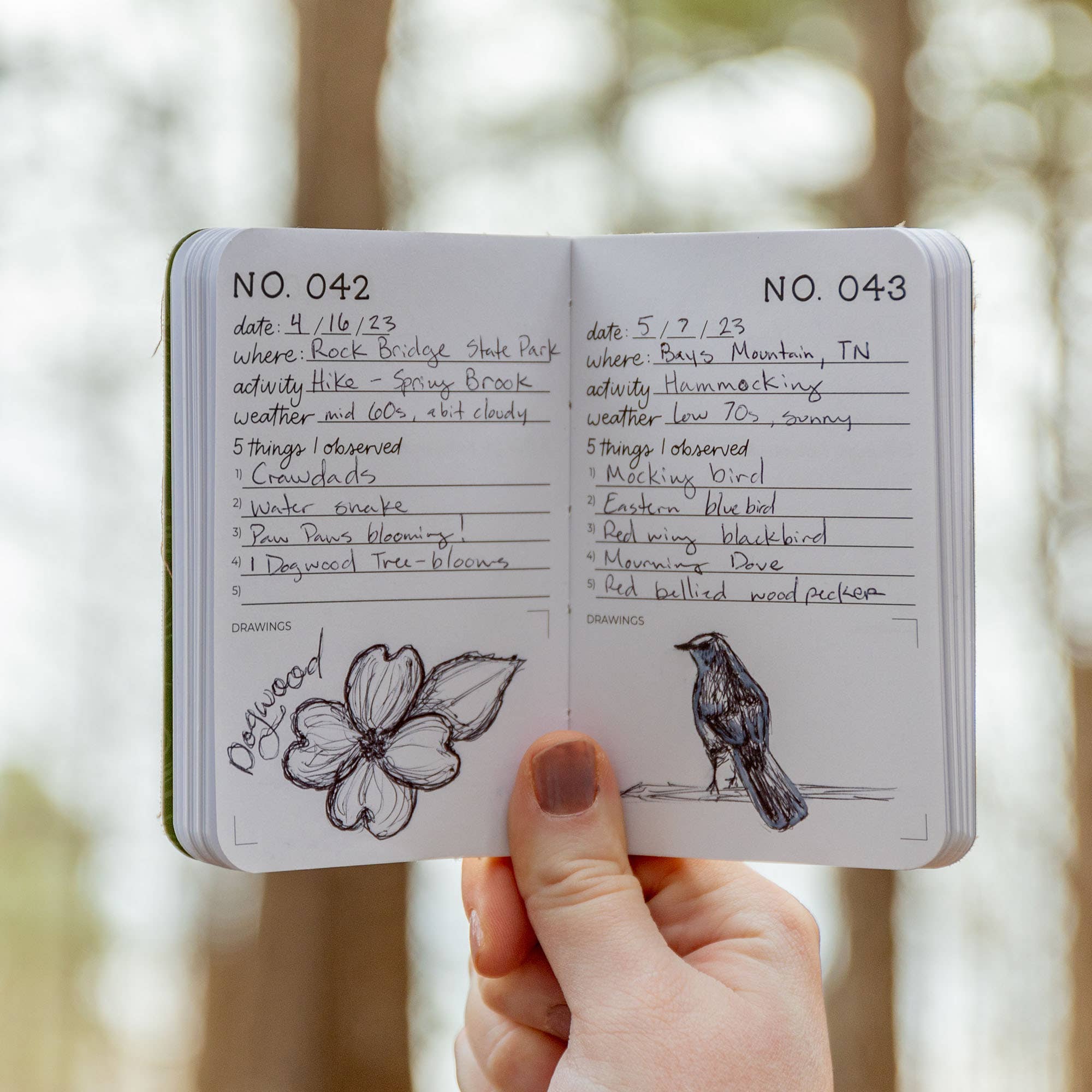 1canoe2 | One Canoe Two Paper Co. - Wholesale Journal/Diary - One Hundred Nature Studies Journal2