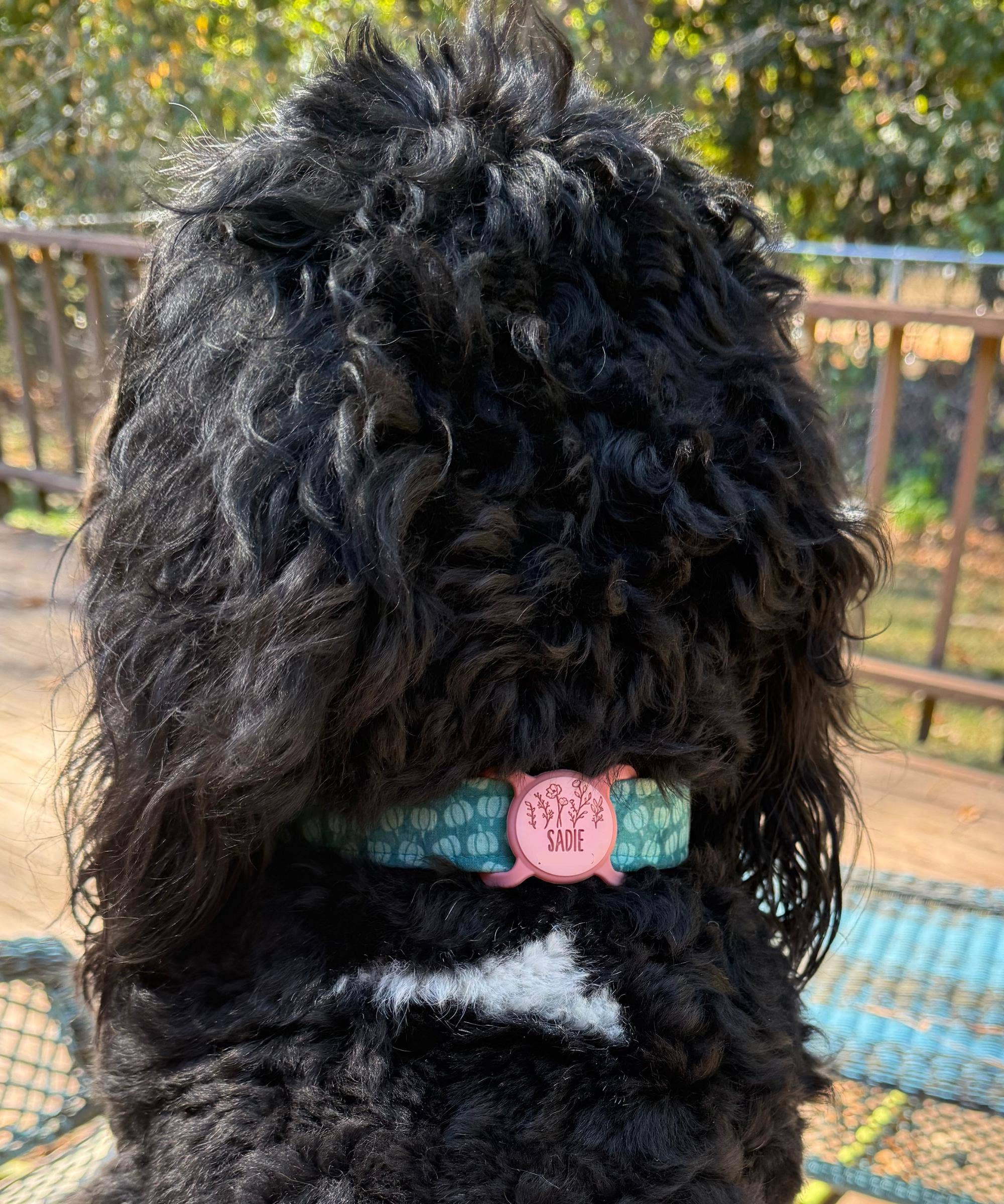 Besties Pets - Wholesale Pet Identification Tag - Cat/Dog - Slim Slide-On Silicone Pet ID Tag | Classic Name4