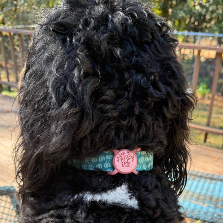 Besties Pets - Wholesale Pet Identification Tag - Cat/Dog - Slim Slide-On Silicone Pet ID Tag | Classic Name4