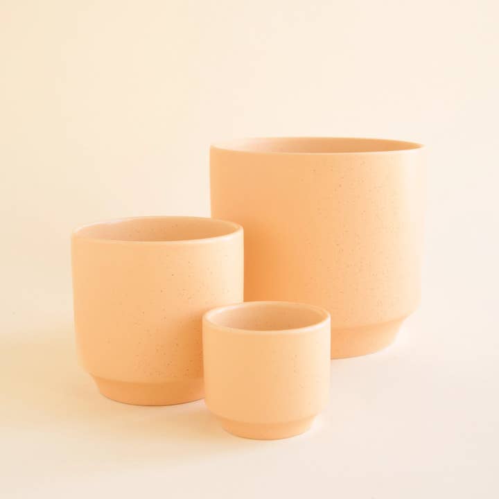 Jungle Club - Wholesale Plant Pot - Parker Planter | Sunset Speckle