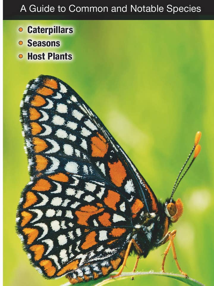 Kategori: Sommerfugle i Ohio for engroshandel hos Quick Reference Publishing, Inc