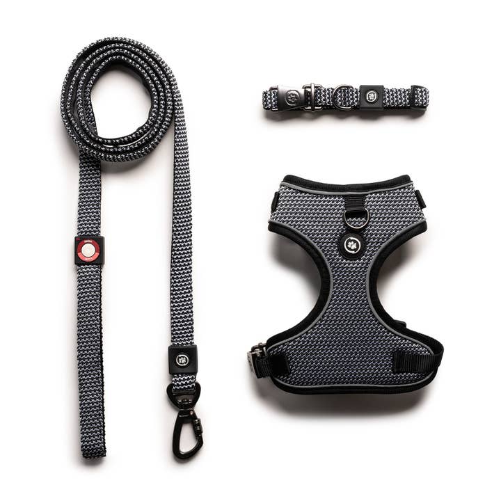 Silver Paw - Wholesale Pet Harness - Dog - 3 In 1 Collar, Leash, Harness Set