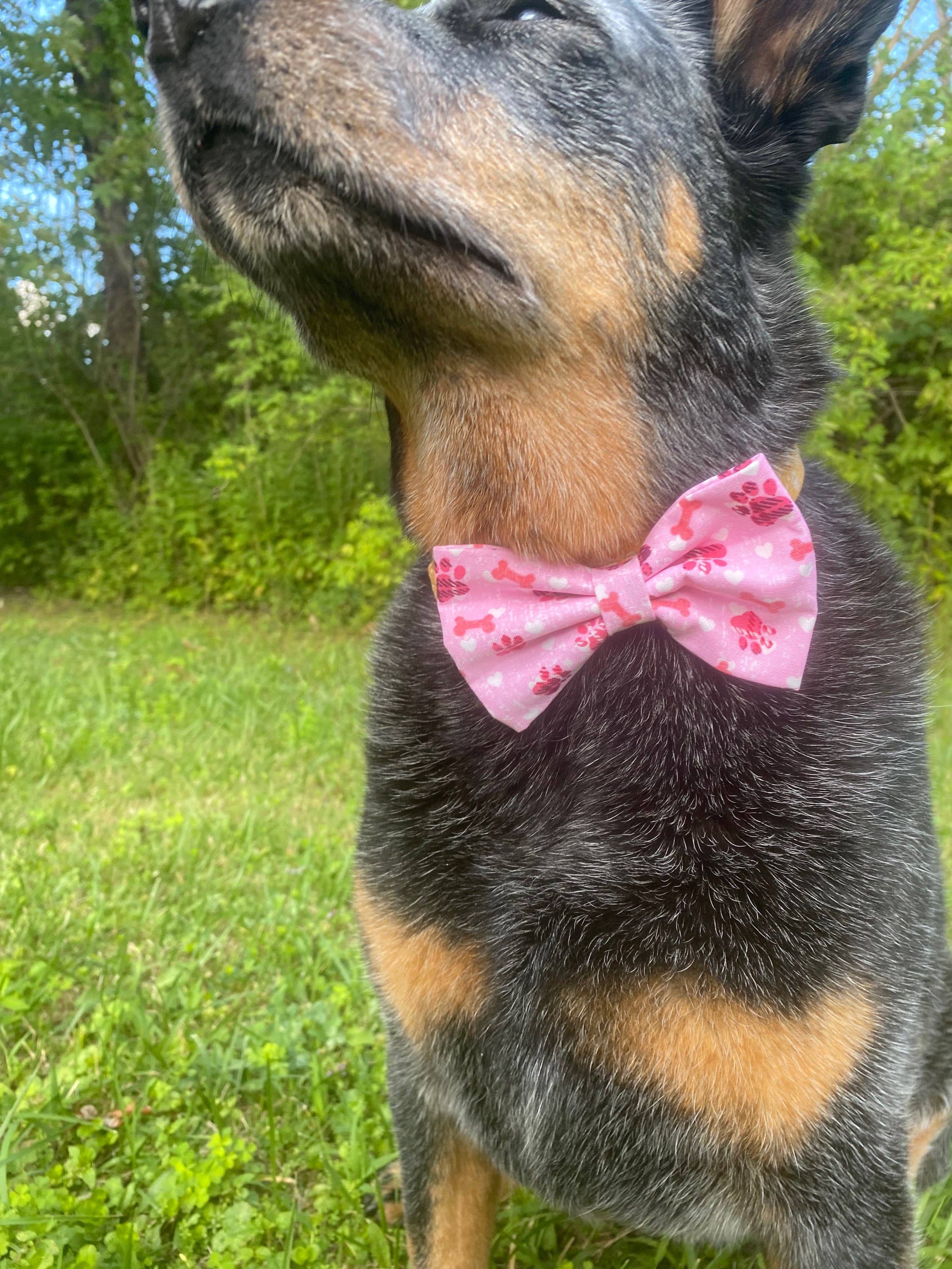 Old Dog, New Style - Wholesale Vlinderdas - Hond - Roze vlinderdas voor honden met pootafdrukken1