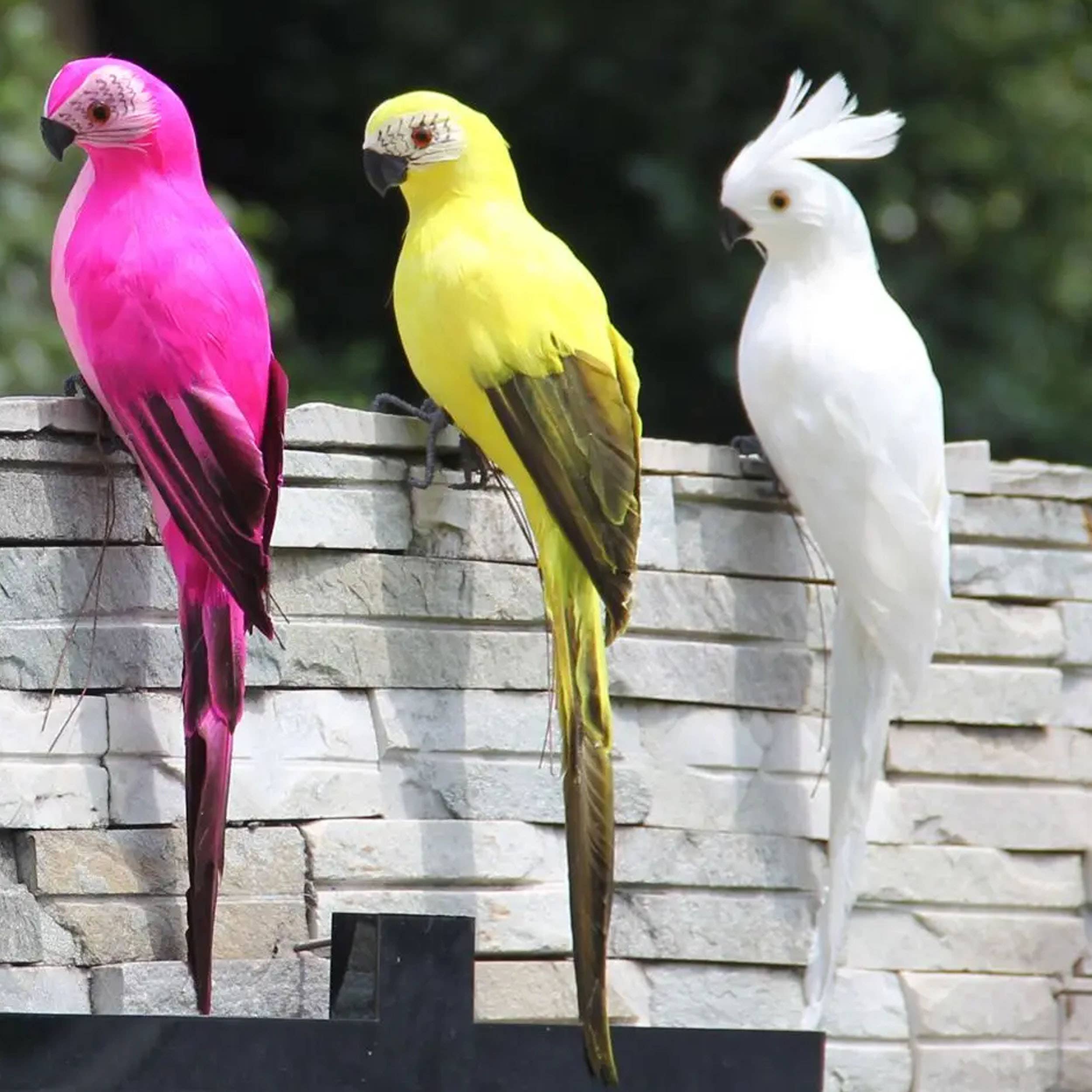 Buddha Ayurveda - Wholesale Sculpture - Handcraft Parrot Birds Model For Home Decor 7