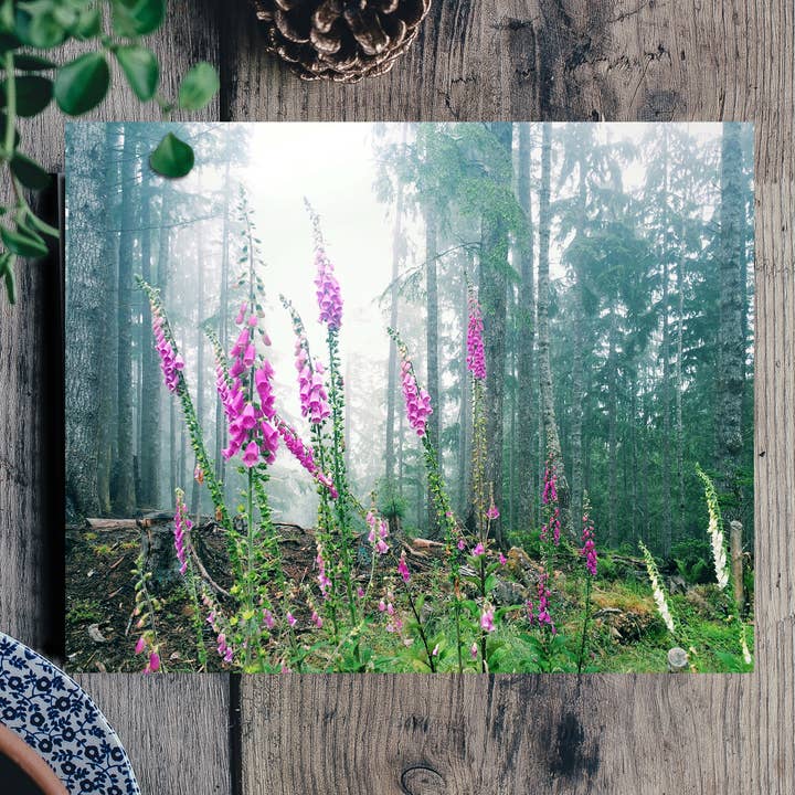 Greeting Card - Wild Foxgloves for wholesale by Nicole Mark Photography