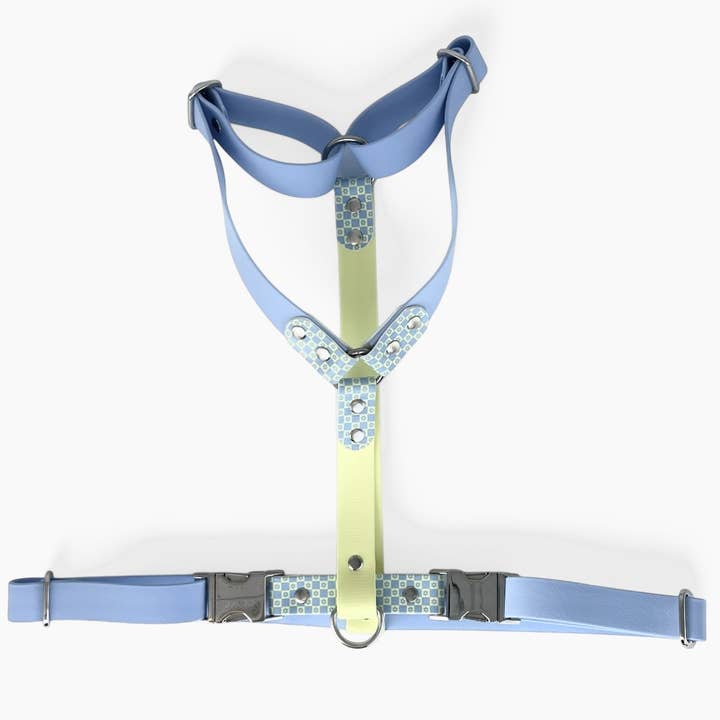 Splash By Happy - Wholesale Pet Collar - Dog - 🌼 Happy Flower 🌼14