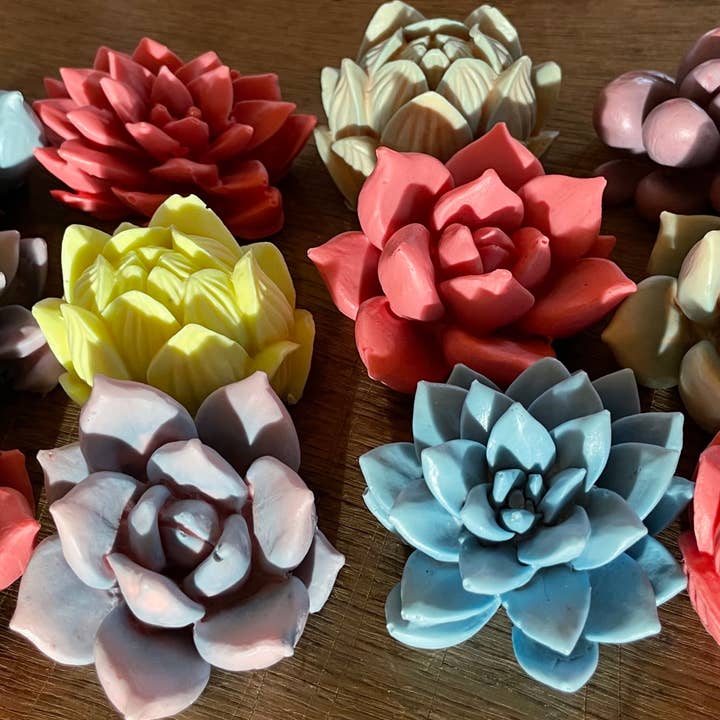 Namaste Home - Wholesale Bar Soap - Soap w/ Hidden Gemstone, Goat's Milk Lotus + Succulent Soap1