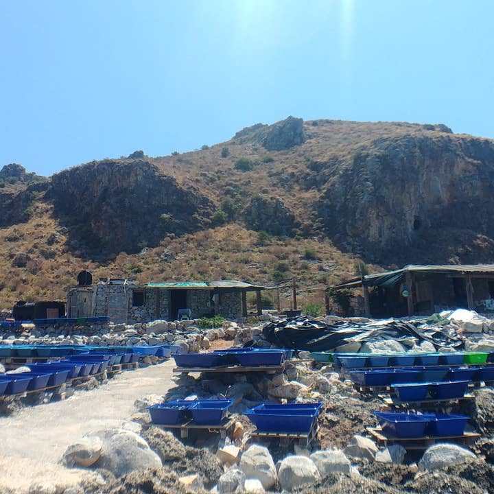 Village Batch - Wholesale Salt - Sea Salt Flakes2