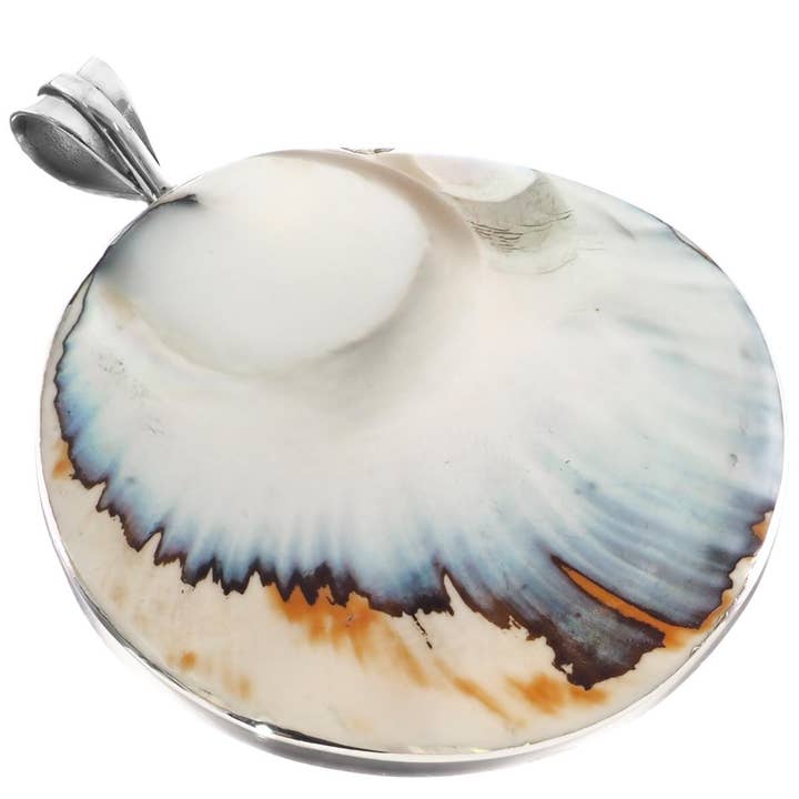 rund ægte nautilusskal vedhæng i sterlingsølv, 5,5 cm for engroshandel hos FifiRose