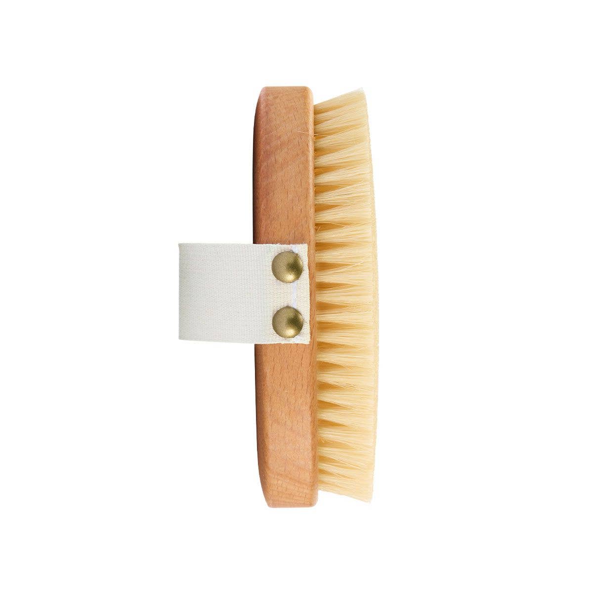 Fa brushes - Wholesale Body Brush - Body brush with boar bristles1