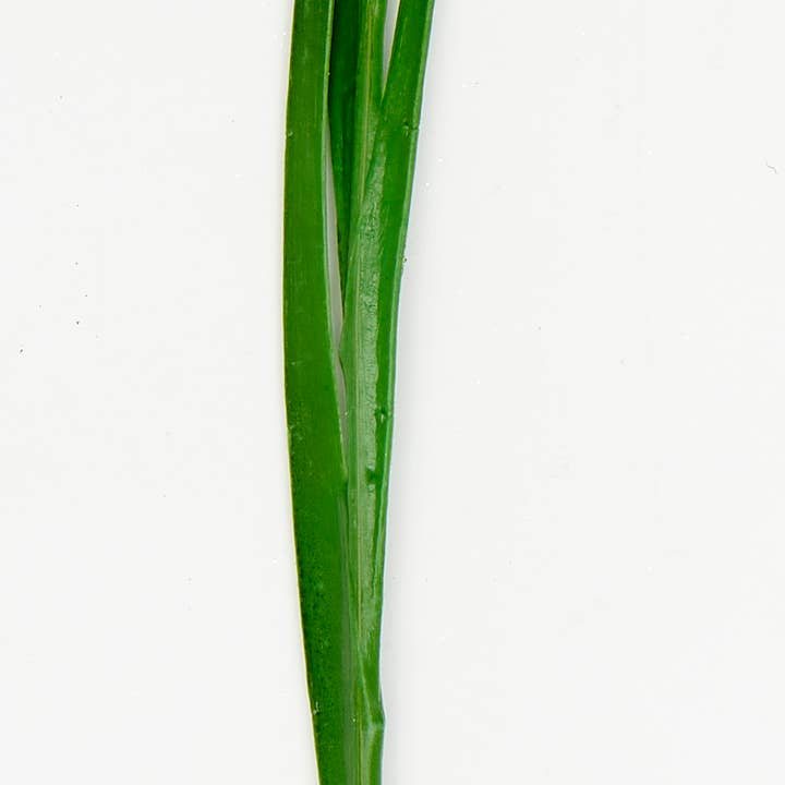 WORTH IMPORTS - Wholesale Artificial Flowers - 25" Artificial Iris Flower Spray1