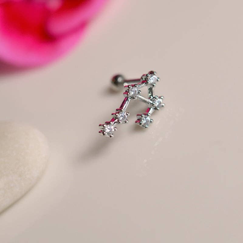 StockJWL - Wholesale Stud/Post Earrings - 12 Zodiac Earrings, Constellation Stud Earring Stud Piercing Tragus Helix Lobe and Cartilage Silver And Gold41