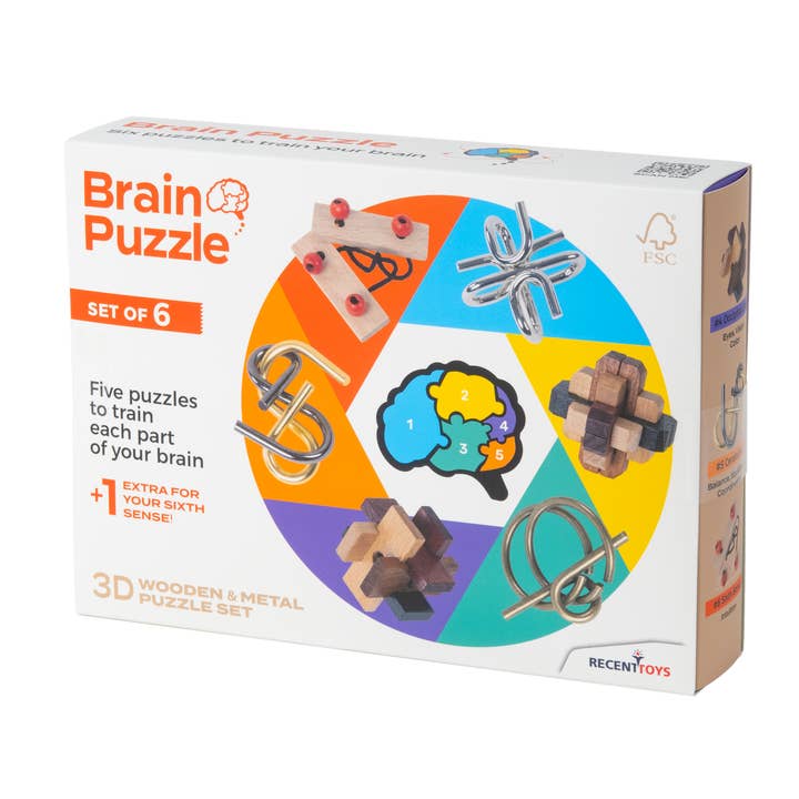 Brain Puzzle 6er-Set für den Großhandel von Recent Toys