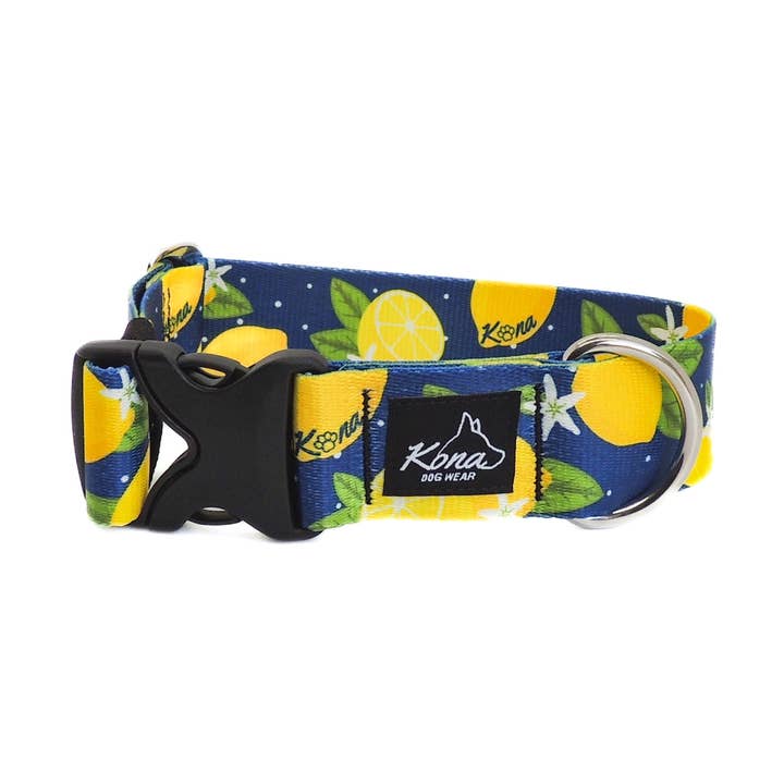 Limoncello Buckle Collar for wholesale by Kona Dog Wear