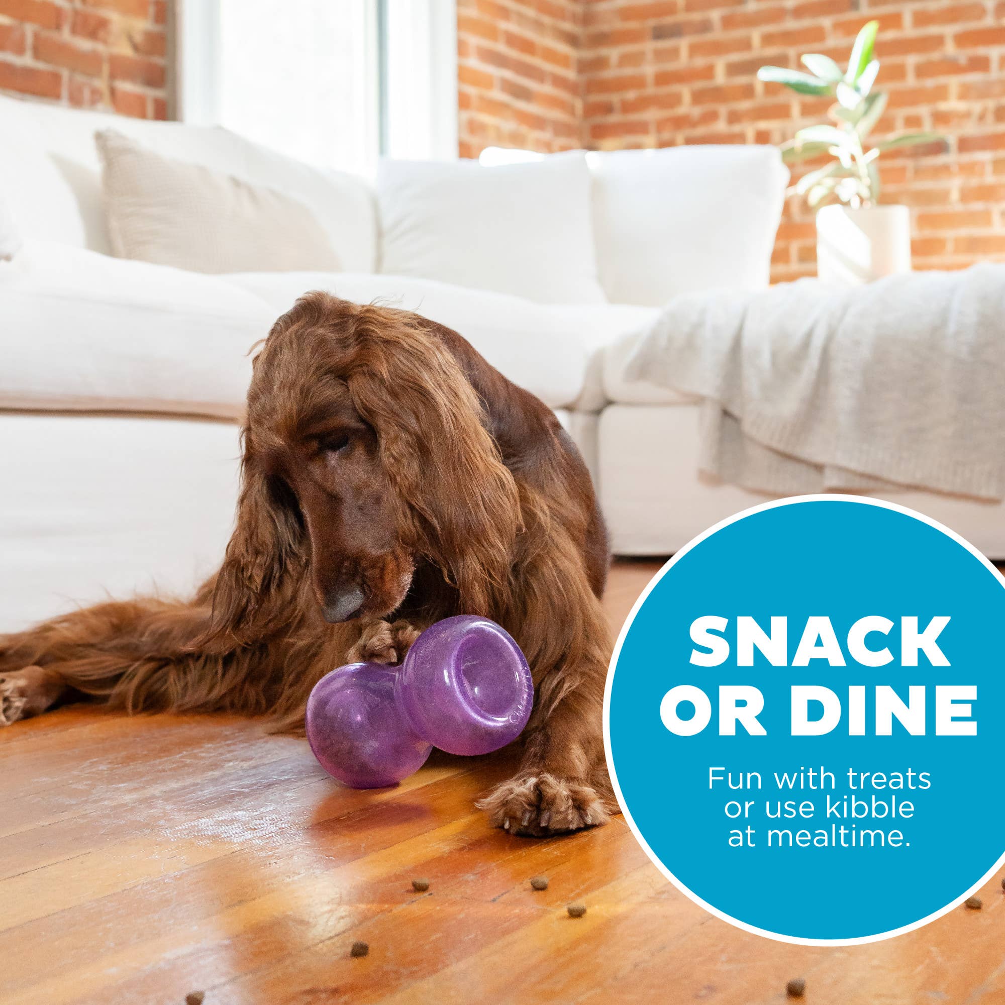 Pet Palette Distribution - Wholesale Pet Chew Toy - Dog - Planet Dog Orbee-Tuff Double Snoop Interactive Dog Toy4