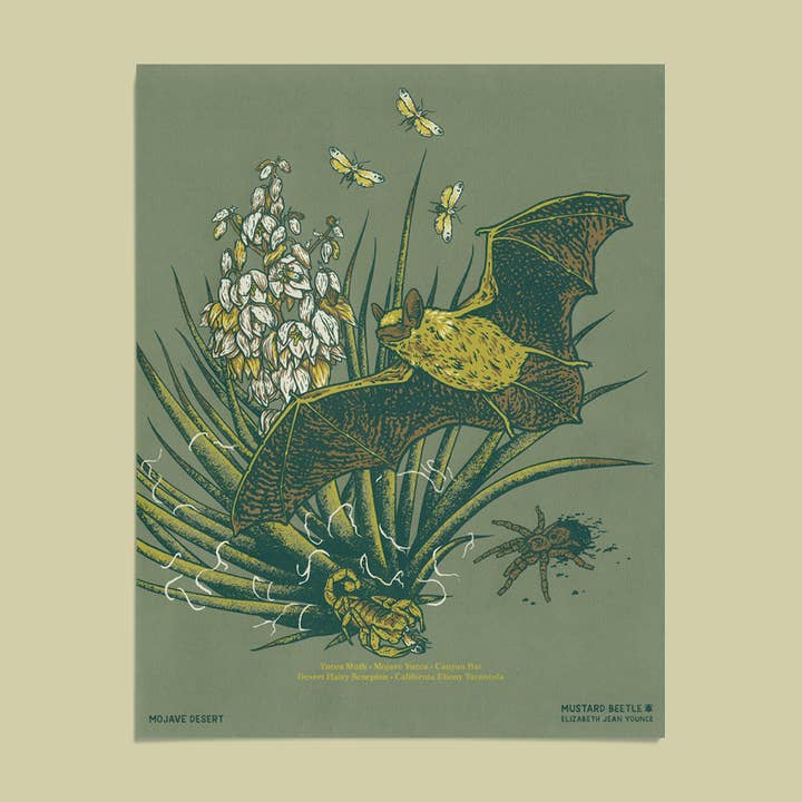 11x14" Giclee Print: Mojave Desert for wholesale by Mustard Beetle