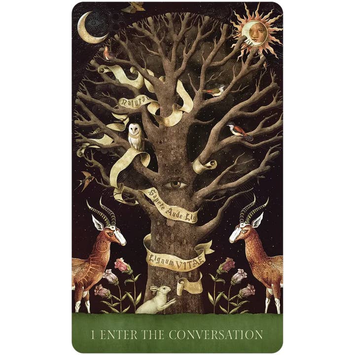 U.S. Games Systems Inc. - Wholesale Tarot Cards - Dream Song Oracle2