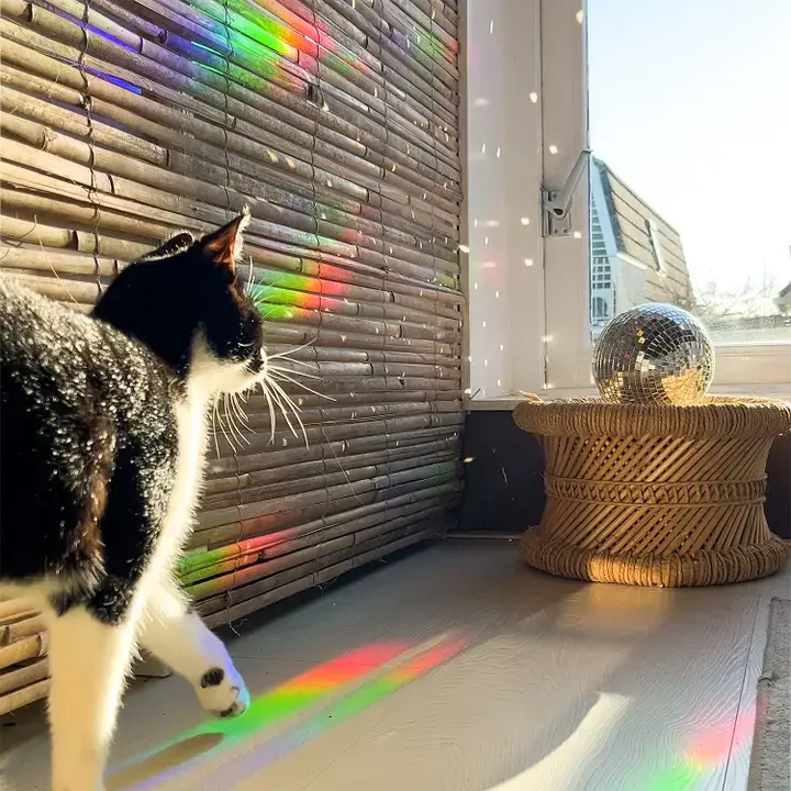 Botanopia USA - gifts , decor and cards for plant lovers - Wholesale Suncatcher - Rainbow maker sticker - Keep going to keep growing7