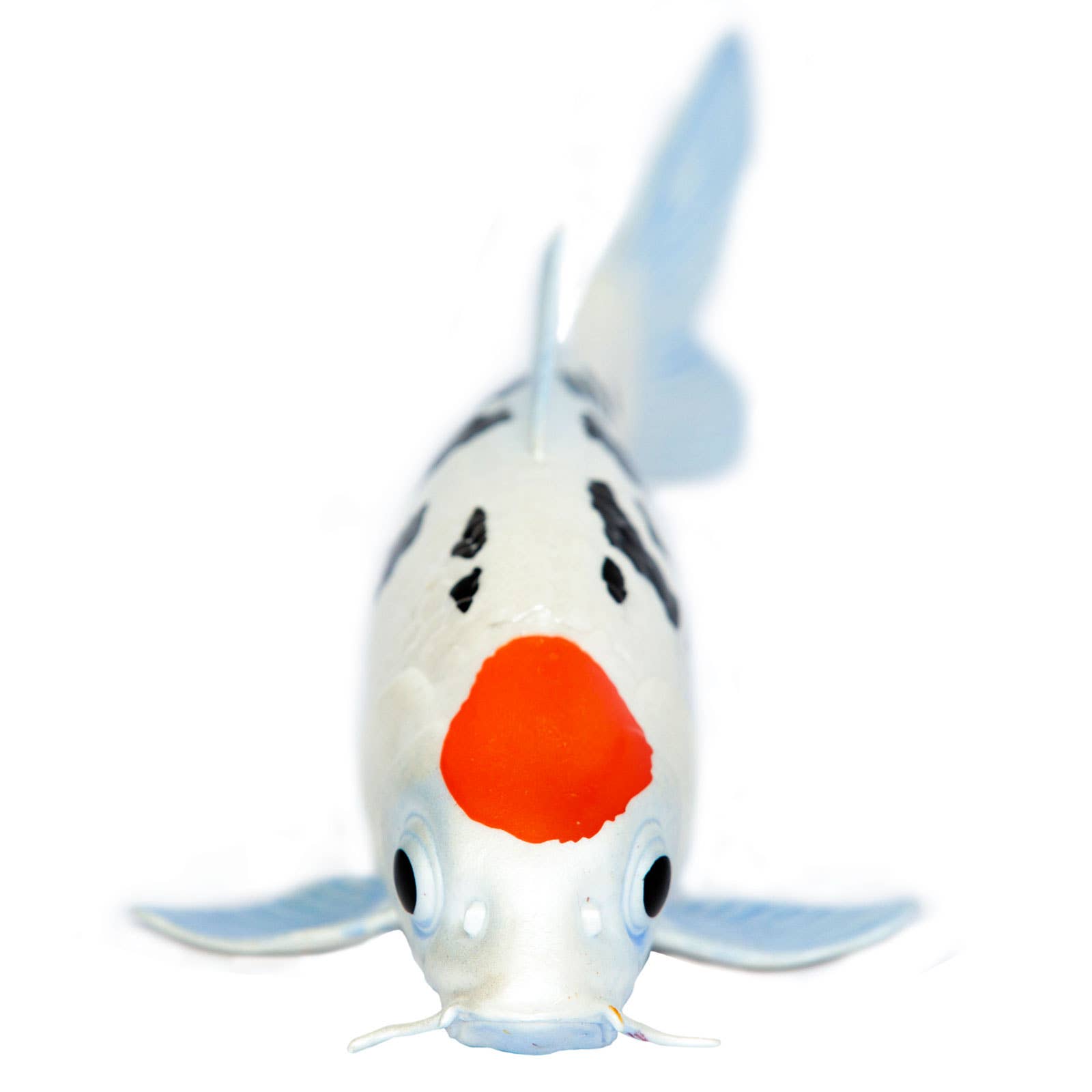 Safari Ltd. - Wholesale Decorative Figurine - Koi Fish - Tancho1