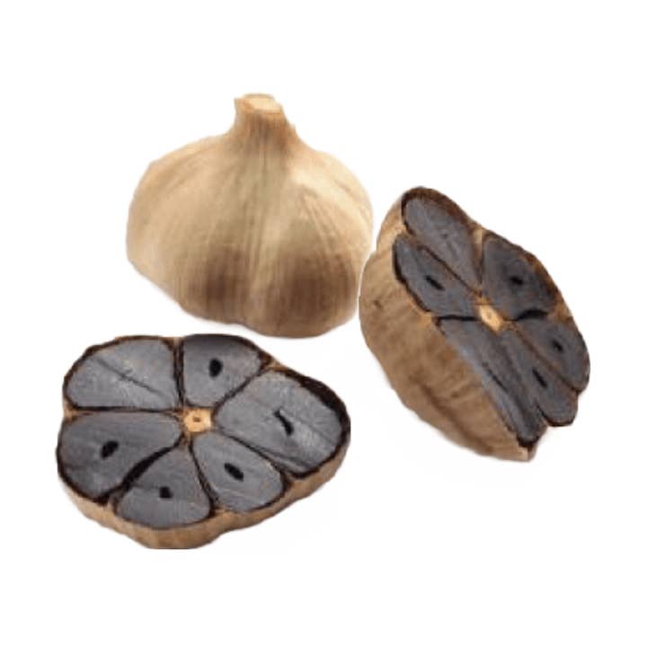 Schwarze Knoblauchknolle für den Großhandel von Ilias and Sons