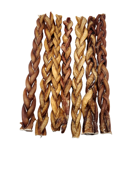 Dibo Pet Foods - Wholesale Pet Treats - Dog - Braided Bully Stick – Low Odor Pizzle – STANDARD - 12"5