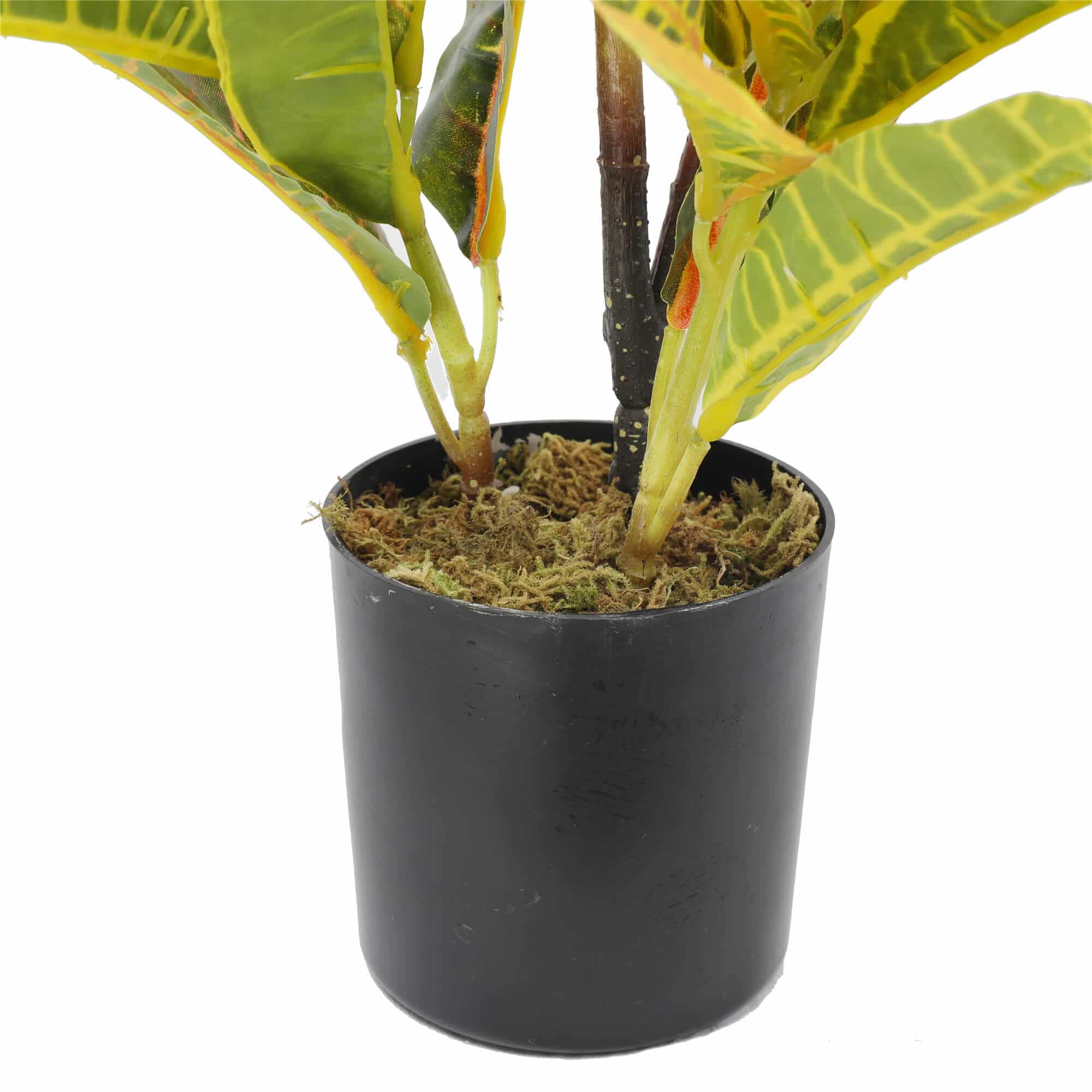 Designer Plants AU - Wholesale Artificial Plant - Artificial Potted Flaming Zebra (Codiaeum variegatum / crotons) 55cm1