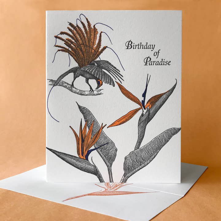 Bird of Paradise Birthday and Blank Note Card for wholesale by Painted Tongue Press