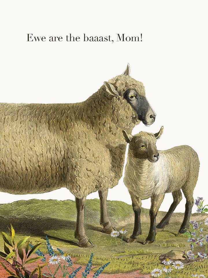 És a melhor, Mãe! • Cartão de Felicitações 5x7 por atacado de P. Flynn Design / Phun House