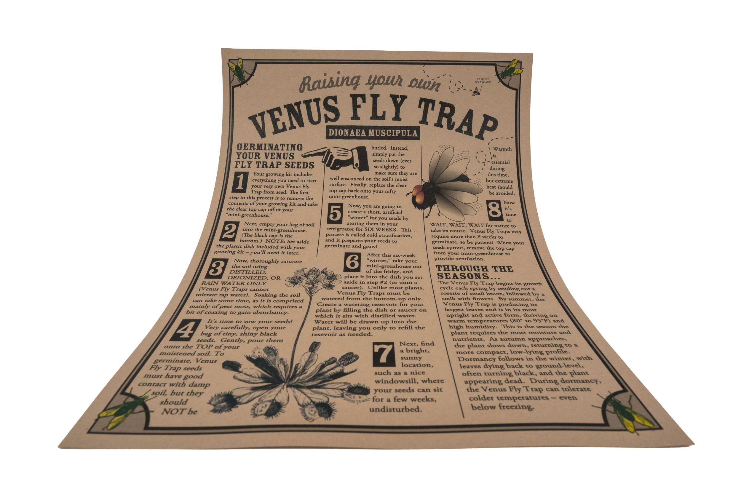 The Jonsteen Company - Wholesale Plant Seeds - Venus Flytrap | Seed Grow Kit3