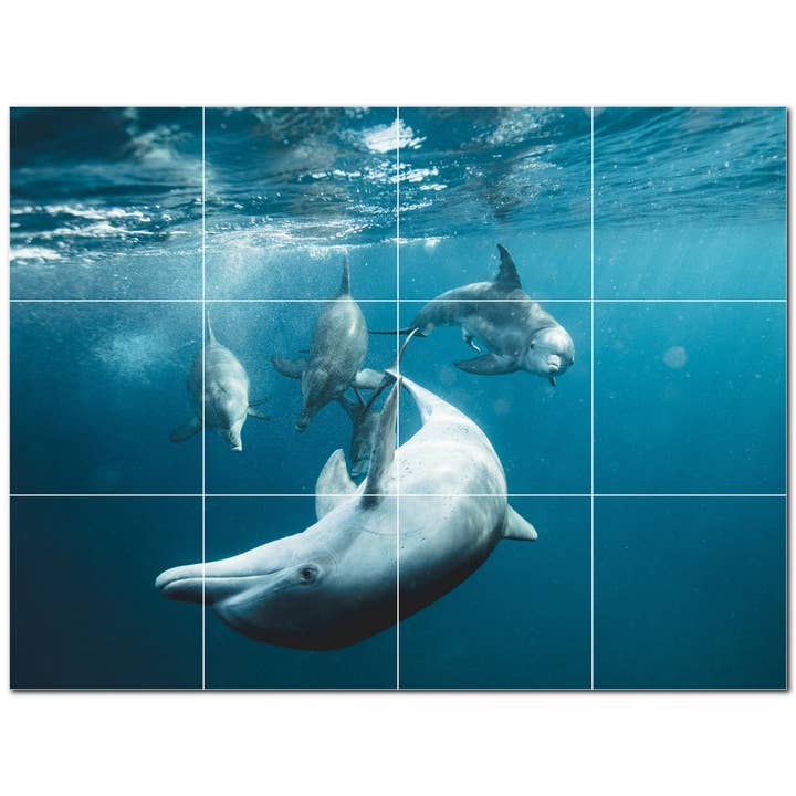 Delphin Keramikfliese Keramikfliesen-Wandbild PT500522 für den Großhandel von Picture-Tiles.com