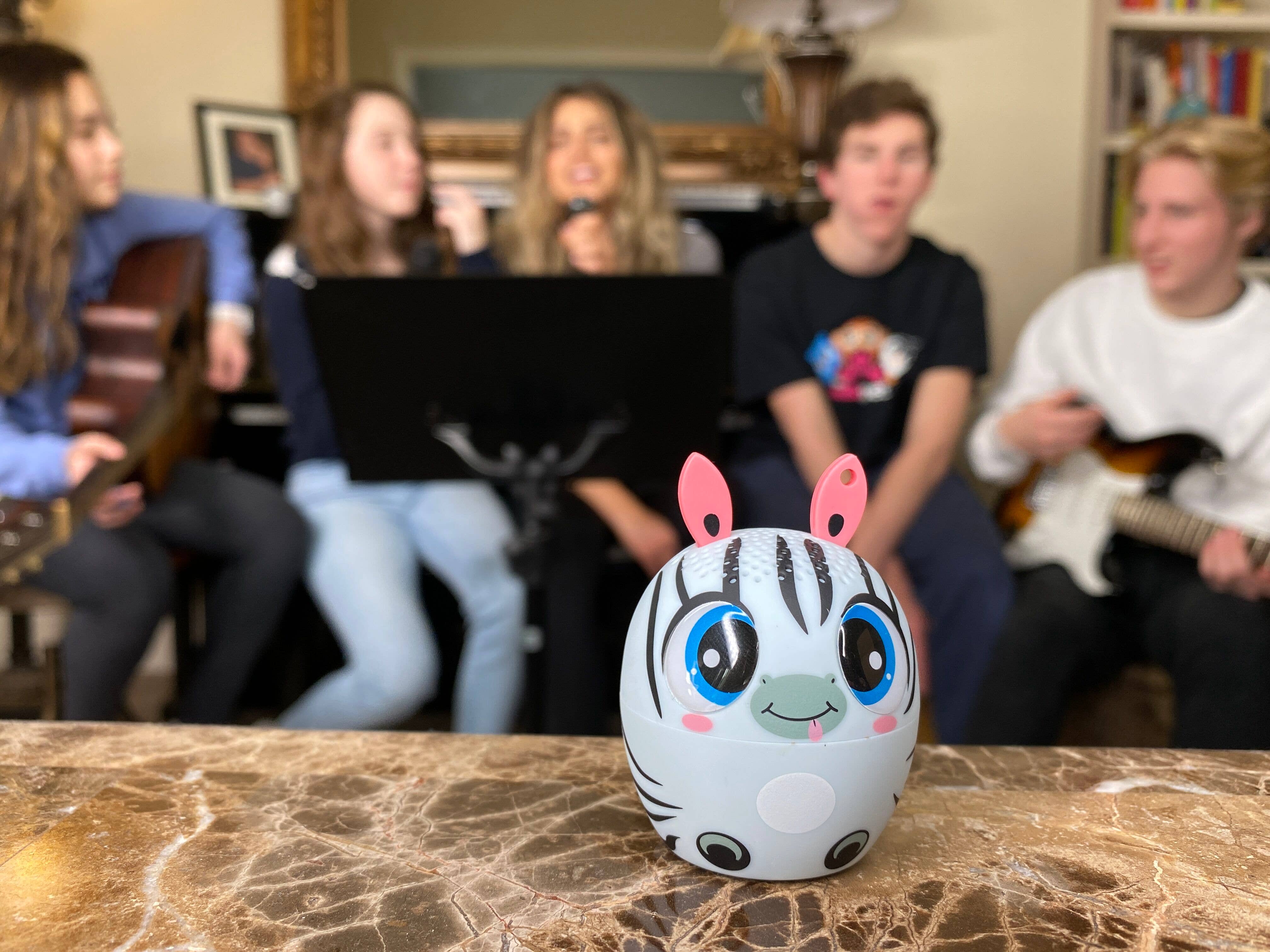 My Audio Life - Vendita all'ingrosso Casse audio - My Audio Pet - Zebra6