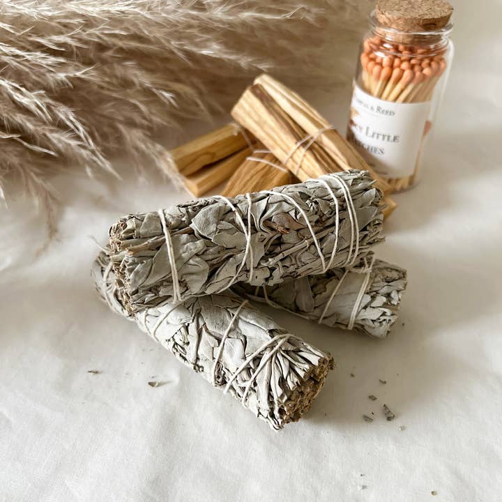 Pampas & Reed - Wholesale Sage Bundle - Sage Smudge0