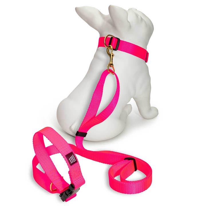 Neon Pink Leash for wholesale by Knick Knack Paddywhack Dog Gear