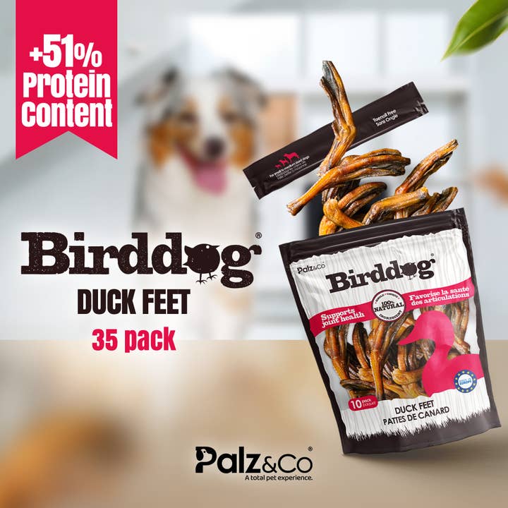Palz&Co - Wholesale Pet Treats - Dog - Birddog Duck Feet (no nails) - Pack of 10 & 355