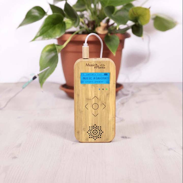 Streampath Srl – wholesale Högtalare – Bamboo M - Växt Musik-enhet