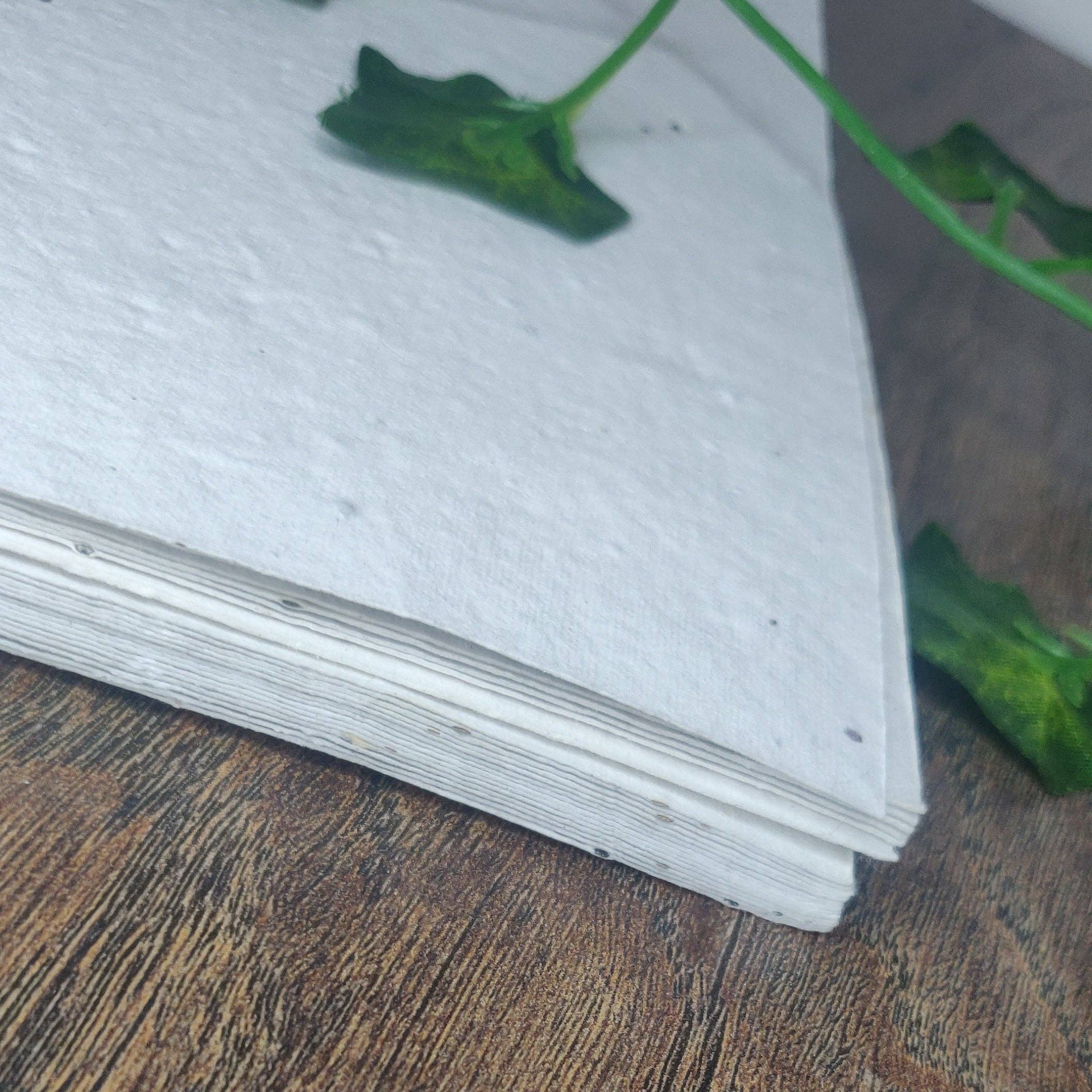 Arthur&Luna – wholesale Stationery/notecard set – Wildflower seed paper A4 200gsm1