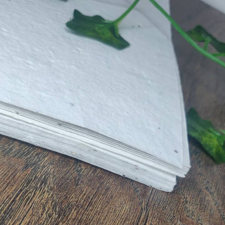 Arthur&Luna – wholesale Stationery/notecard set – Wildflower seed paper A4 200gsm1