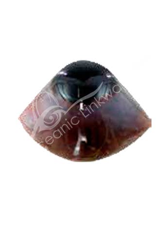 (KG)SPECIMEN - AGATE, THIRD EYE 1-3" for wholesale by Oceanic Linkways Inc